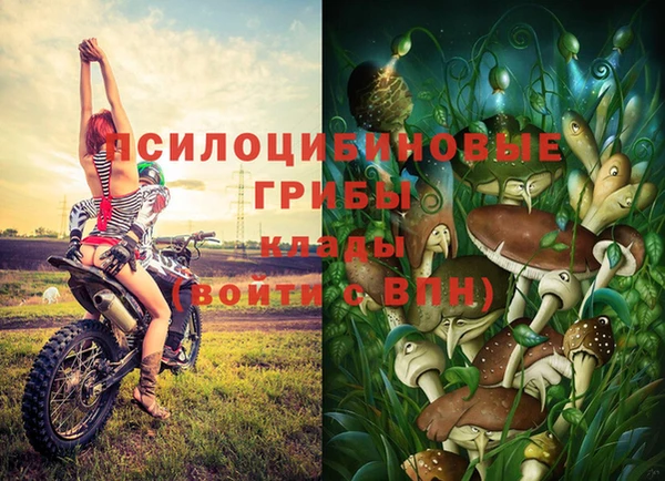 мяу мяу мука Абаза