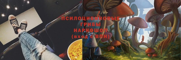мяу мяу мука Абаза
