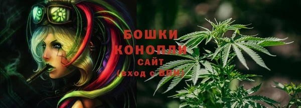 мяу мяу мука Абаза