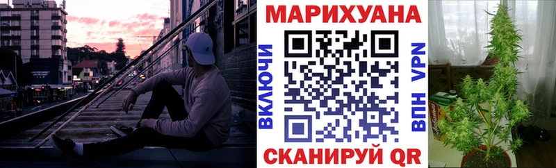 Марихуана OG Kush  Кедровый 